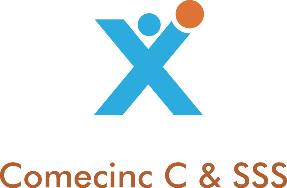 Comecinc Communications & Strategic Solutions Services Inc. Light blue and brown business logo.