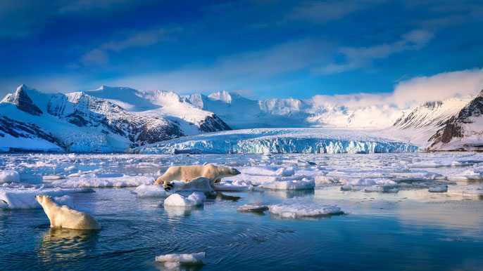 A pristine Arctic landscape with icy blue glaciers, snow-covered mountains, and polar bears resting on floating ice in a calm sea, symbolizing the untouched beauty and unique wildlife that attracts eco-tourists to the region.