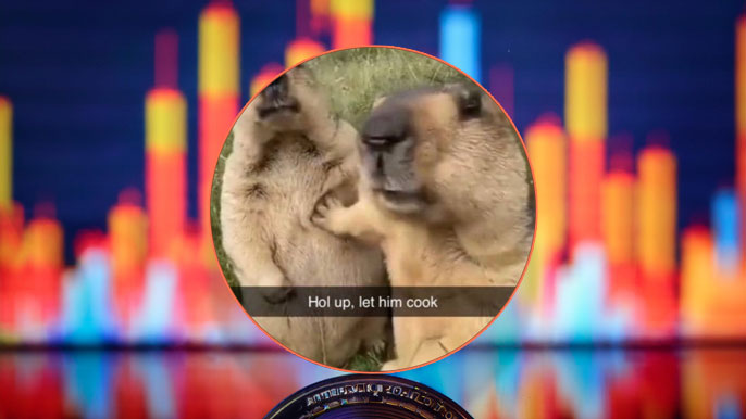 Image of two animals with the text 'Hol up, let him cook' overlaid, set against a colorful crypto market chart, symbolizing the meme-inspired LETHIMCOOK token's rise.