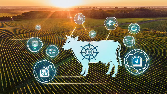 The image shows a digital representation of a cow with blockchain icons overlaying a lush green farmland, symbolizing the integration of blockchain technology in agriculture for transparency and efficiency.